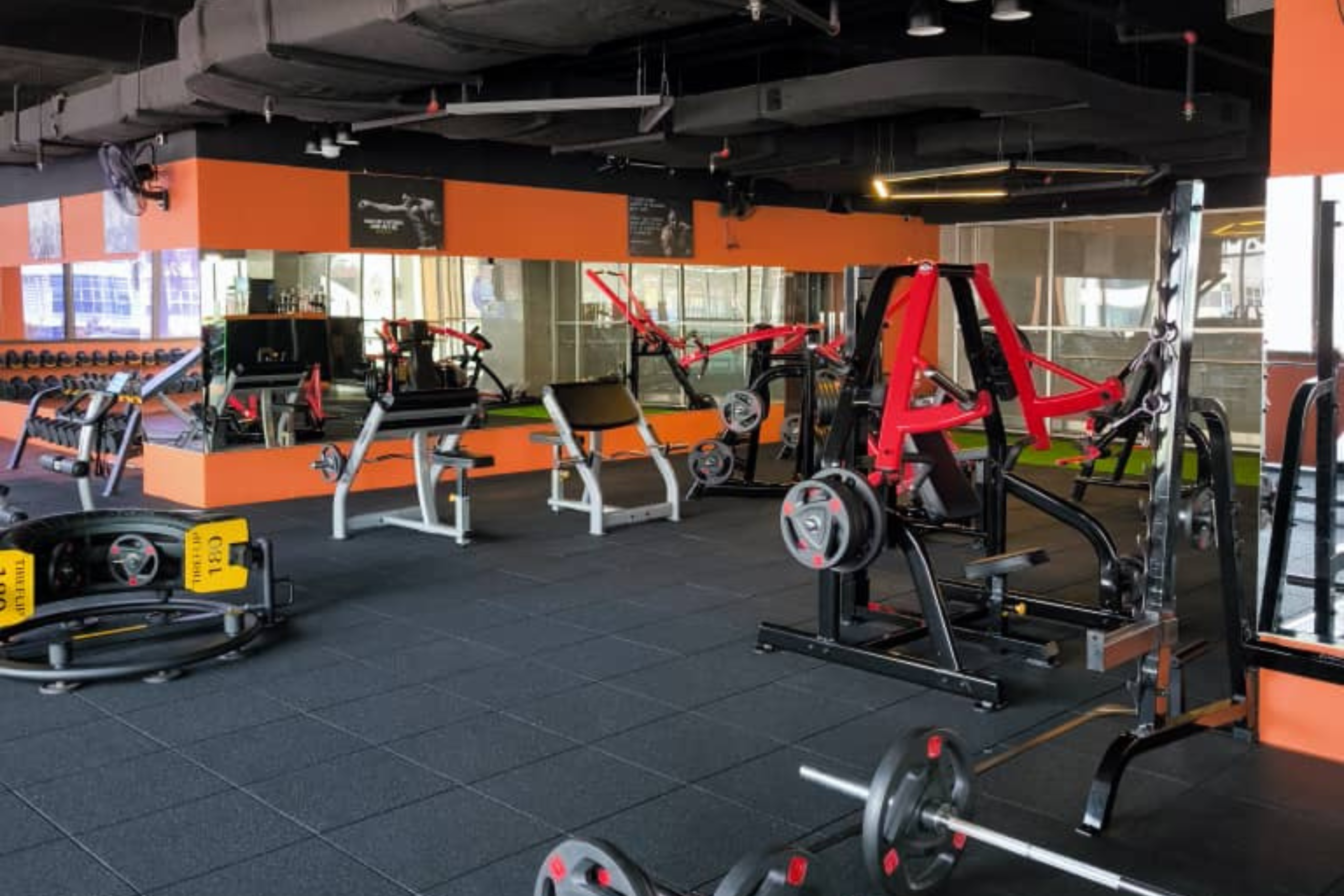 gym4